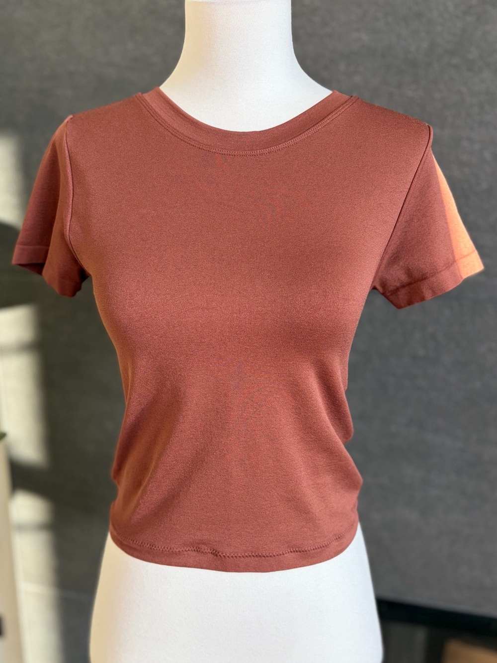 Urban Rebel Rust Brown Nylon Cropped Crewneck Tee
